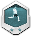 The Wingman 100 - Achieved after 100 successfull Crosses