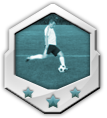 The Wingman 250 - Achieved after 250 successfull Crosses