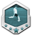 The Wingman 1000 - Achieved after 1000 successfull Crosses